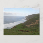 Tomales Point in Point Reyes National Seashore Briefkaart (Voorkant)