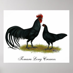 Tomaru Long Crower Kickens Poster