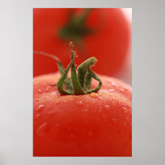 Tomatafdrukken Poster