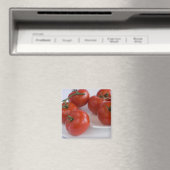 Tomaten_1 Magneet (Insitu (Vaatwasser))