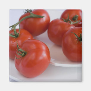 Tomaten_1 Magneet