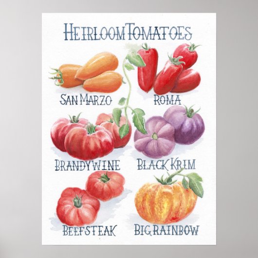 Tomaten Art Print (Voorkant)