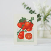 Tomaten Briefkaart (Staand voorkant)