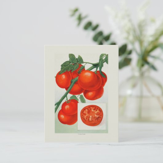 Tomaten Briefkaart (Staand voorkant)
