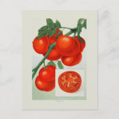 Tomaten Briefkaart (Voorkant)