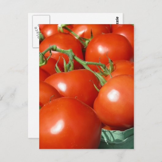 Tomaten Briefkaart (Voorkant / Achterkant)