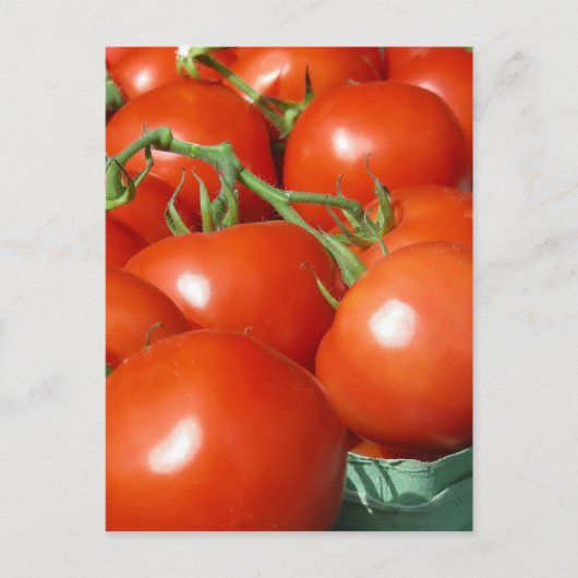 Tomaten Briefkaart (Voorkant)