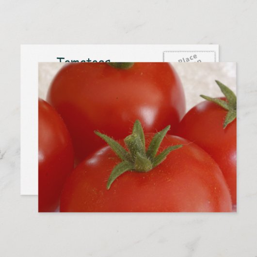 Tomaten Briefkaart (Voorkant / Achterkant)