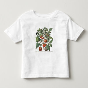 Tomaten en meloenen: 1.Poma amoris fructu luteo; 2 Kinder Shirts
