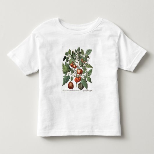 Tomaten en meloenen: 1.Poma amoris fructu luteo; 2 Kinder Shirts (Voorkant)