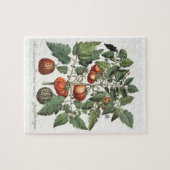 Tomaten en meloenen: 1.Poma amoris fructu luteo; 2 Legpuzzel (Horizontaal)