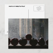 Tomaten in het raam briefkaart (Voorkant / Achterkant)