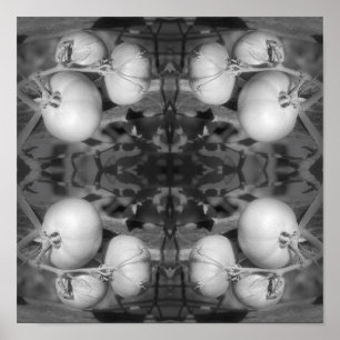 Tomaten in zwart-wit Abstract Poster