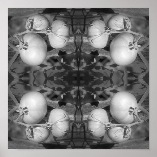 Tomaten in zwart-wit Abstract Poster (Voorkant)