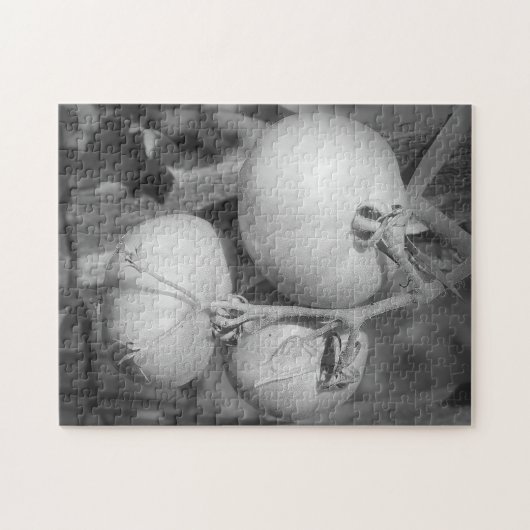 Tomaten in zwarte en witte Natuur Legpuzzel (Horizontaal)