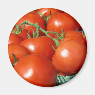 Tomaten Magneet