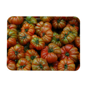 Tomaten Magnet Magneet