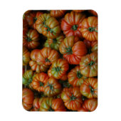 Tomaten Magnet Magneet (Verticaal)