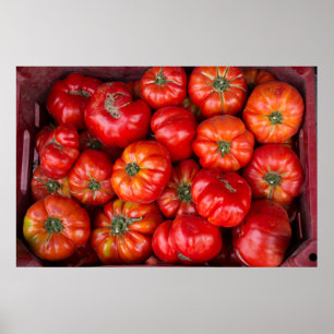 Tomaten op de markt poster