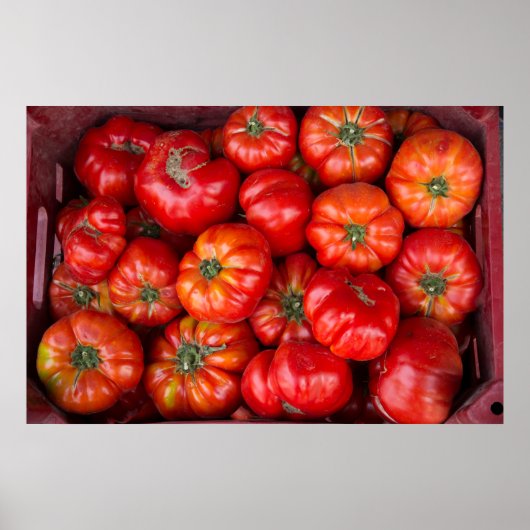 Tomaten op de markt poster (Voorkant)