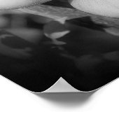 Tomaten op de wijnstok zwart-wit Abstract Poster (Hoek)