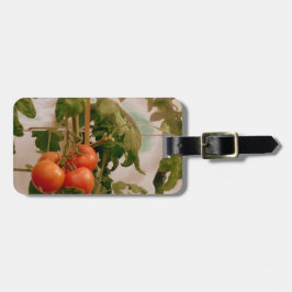 Tomaten op wijn bagagelabel