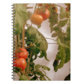 Tomaten op wijn notitieboek (Voorkant)