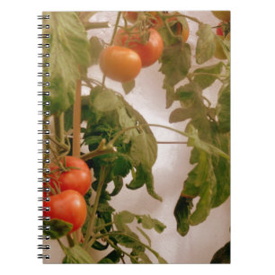 Tomaten op wijn notitieboek