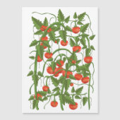 Tomaten Patroon (Voorkant)