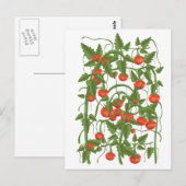 Tomaten Patroon Briefkaart (Voorkant / Achterkant)