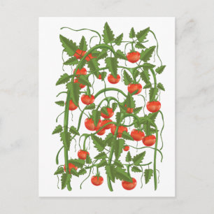 Tomaten Patroon Briefkaart