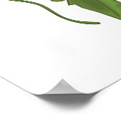 Tomaten Patroon Poster (Hoek)