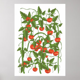 Tomaten Patroon Poster