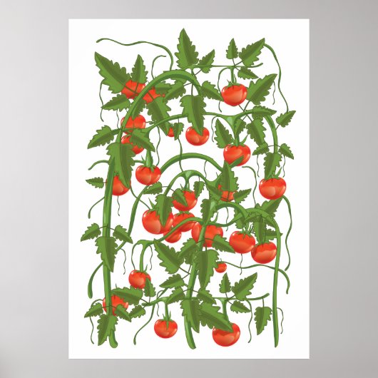 Tomaten Patroon Poster (Voorkant)