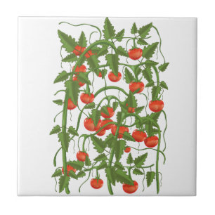 Tomaten Patroon Tegeltje