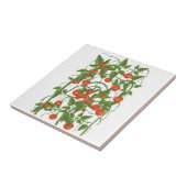 Tomaten Patroon Tegeltje (Zijkant)