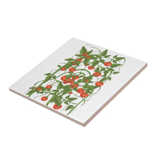 Tomaten Patroon Tegeltje (Zijkant)
