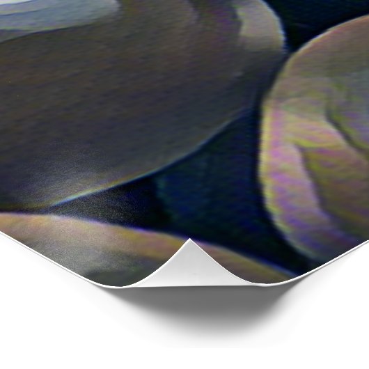 TOMATEN PERFECT POSTER (Hoek)