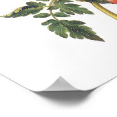 Tomaten Poster (Hoek)