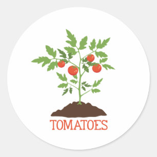 Tomaten Ronde Sticker