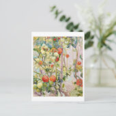 Tomaten Schilderij van Pekka Halonen Briefkaart (Staand voorkant)