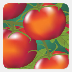 Tomaten Sticker