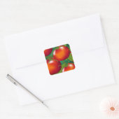 Tomaten Sticker (Envelop)