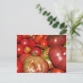 TomatenBriefkaart Briefkaart (Staand voorkant)
