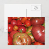TomatenBriefkaart Briefkaart (Voorkant / Achterkant)