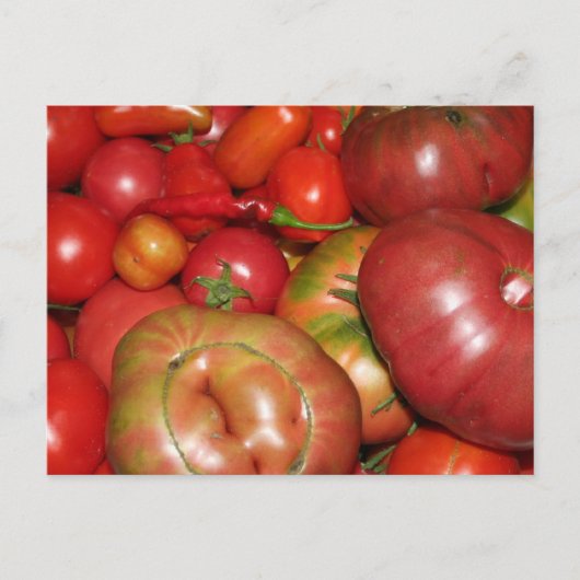 TomatenBriefkaart Briefkaart (Voorkant)