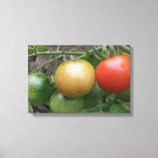 Tomatendruk op Canvas met Stoplicht Afdruk (Voorkant)