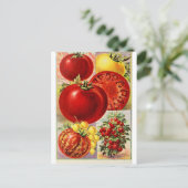 Tomatengroenten botanisch  Briefkaart (Staand voorkant)