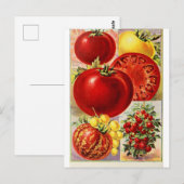 Tomatengroenten botanisch  Briefkaart (Voorkant / Achterkant)