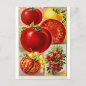 Tomatengroenten botanisch  Briefkaart (Voorkant)
